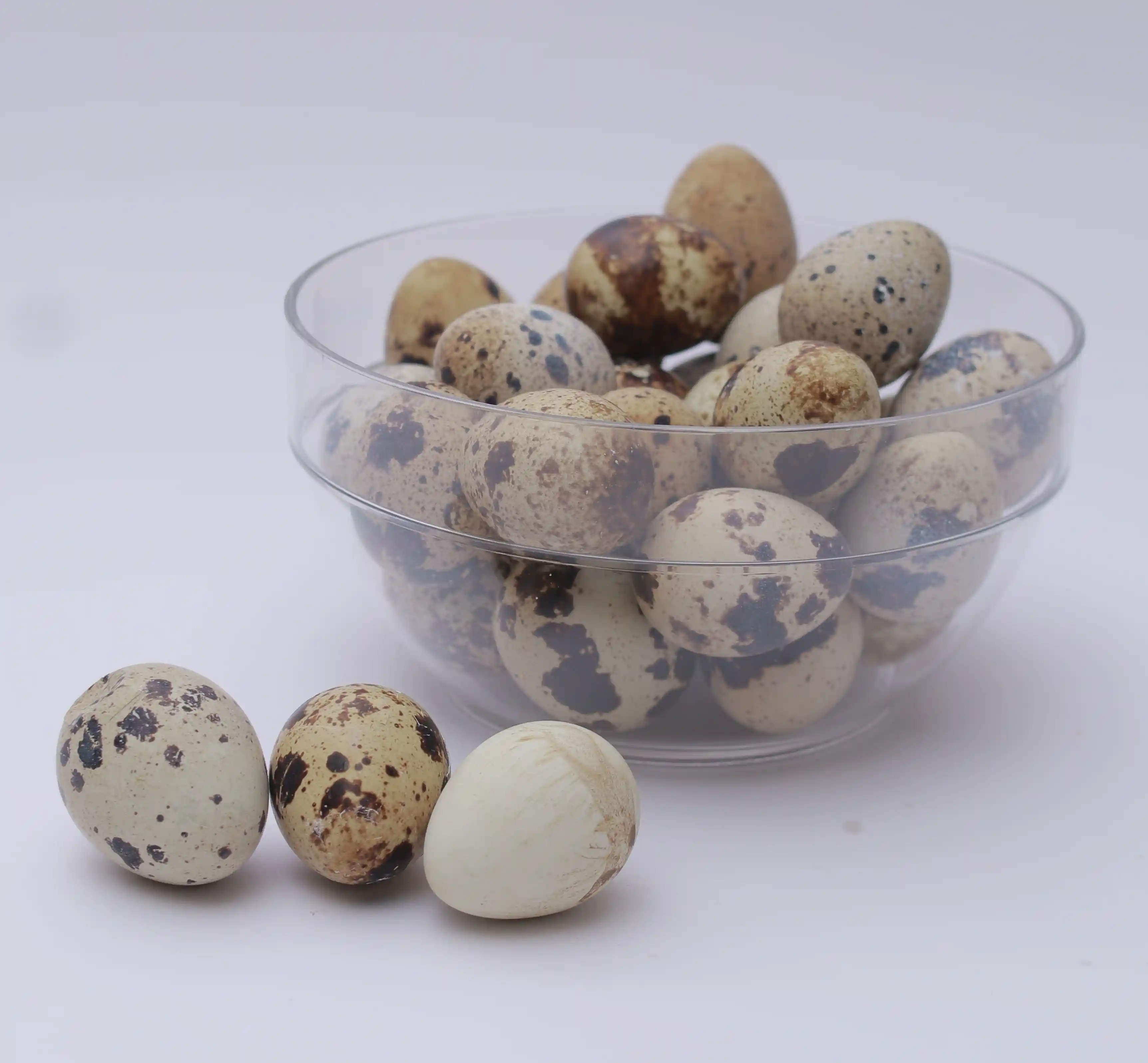 Huevos Codornis